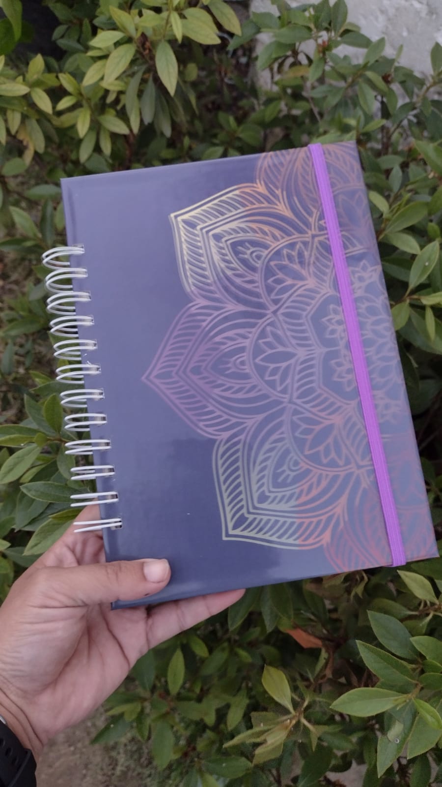 Cuadernos de Notas