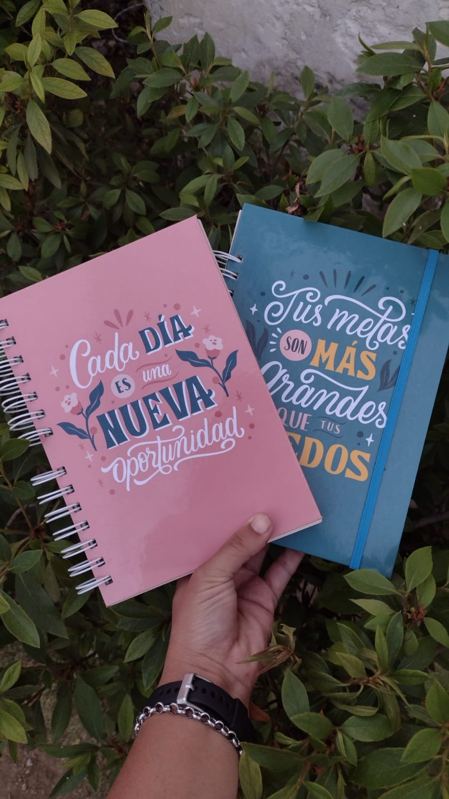 Cuadernos de Notas